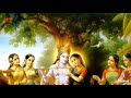 Hamaro Dhan Radha Shri Radha Shri Radha Mridul Krishna Shashtri