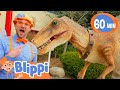 Blippi Meets Stanley The Dinosaur Fun With Blippi Blippi Educational Songs For Kids