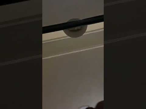 Quada Ft. Daddy1, Freestyle Java, Bobby6ix, Loyal Goon, Grim YG| Attomatic Records|| 6ix Is Real