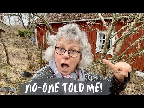 10 Things I Wish I Knew Before I Bought A Cottage in Sweden