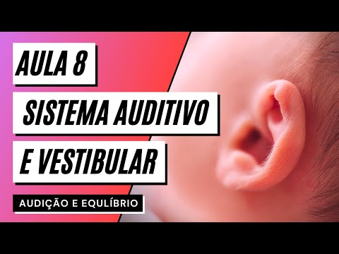 Video lesson 8 Auditory and vestibular system - HEARING AND BALANCE
