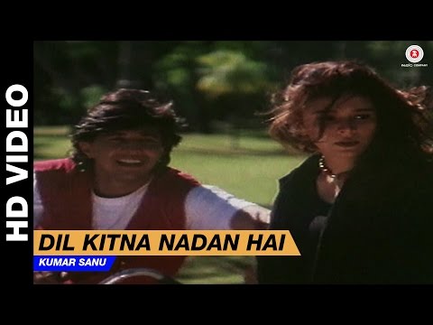 Dil Kitna Nadan Hai (Title Track) | Kumar Sanu | Raja & Raageshwari