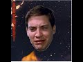 BoyWithUke S Burnout Rated By Memes