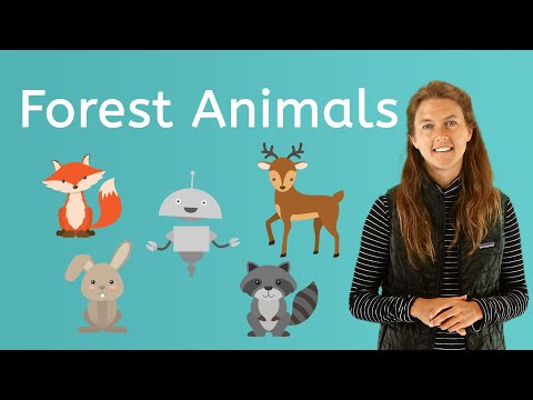 image-What do most animals live in?