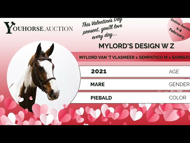 Mylord's Design flatwork