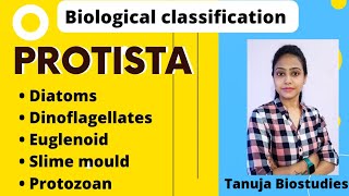 Biological Classification - Protista | Diatoms|Dinoflagellates|Euglenoid|Slime mould|Protozoan |NEET
