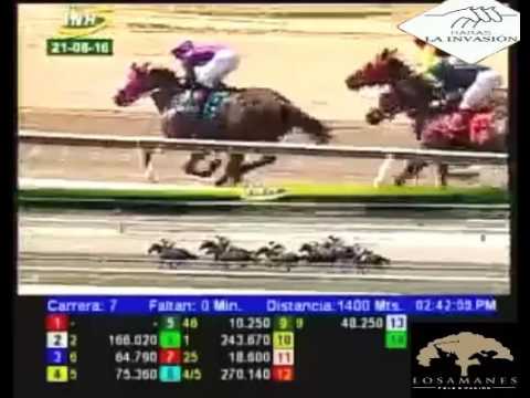 LA RINCONADA 7 CARRERA, DOMINGO 21 DE AGOSTO DEL 2016