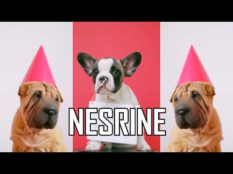 HAPPY BIRTHDAY NESRINE