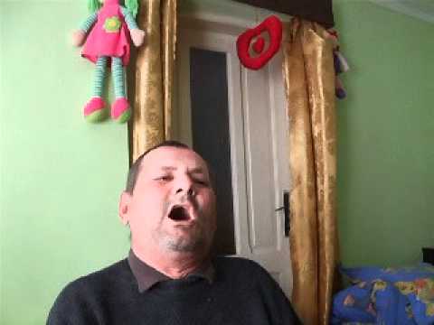 Intru in lunca banului-Vasile Romanu