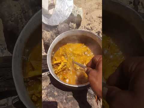 GALINHA CAIPIRA  INTERIOR SUSSUAPARA BARÃO DE GRAJAÚ MARANHÃO/FLORIANO PIAUÍ BRASIL PHABLO E FAMÍLIA