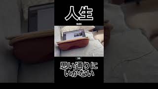 何も進まない日、全部赤ちゃんのせい（でも好き） #子育て #育児あるある #新米パパ #新米ママ #shorts