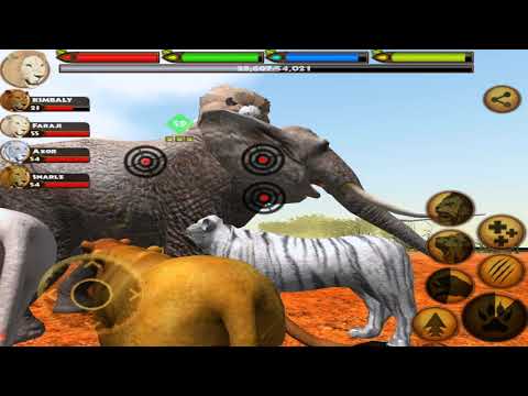 The Lions, Part 2, Ultimate Lion Simulator, By Gluten Free Games - YouTube
