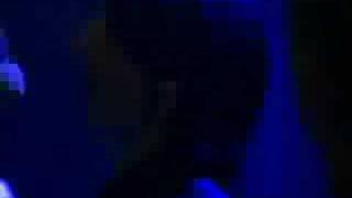 dEUS on the road - Werchter - Sun Ra