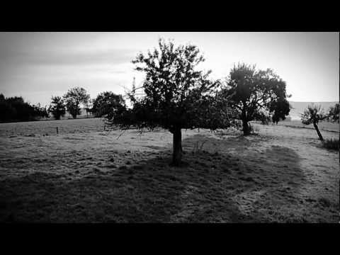 Hier im tiefen Odenwald