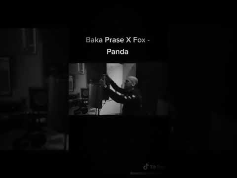 Baka Prase x Fox-Panda