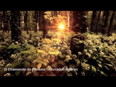 O Chamando da Floresta - Fernando Beltran e Chandra Lacombe