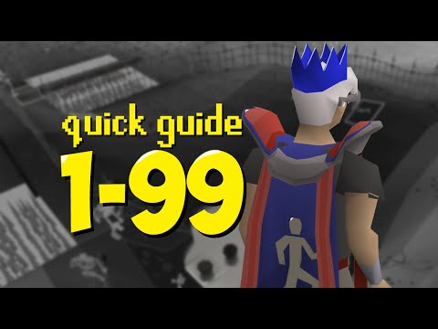 The ONLY Agility Guide you need (Quick Guide)