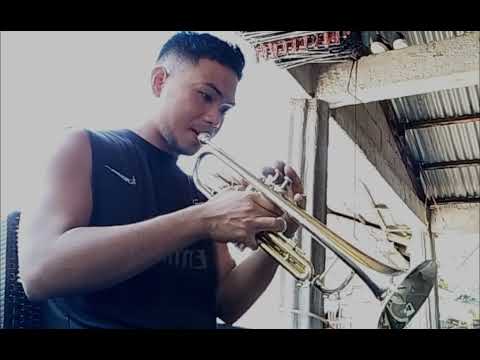 My Heart Will Go On - Celine Dion (Trumpet) Cover 🎺