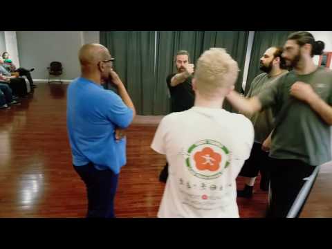 Ving Tsun Shifting Strike