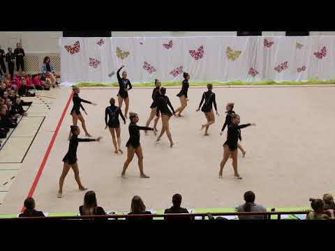 Rosa   Tampereen Voimistelijat