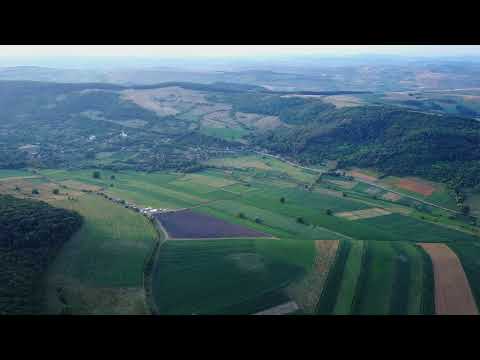 Festivalul Biolavanda Delureni - Bistrița