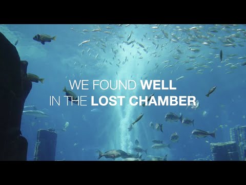 Peak Xperience EVENT // AQUAWELL by WELL3 at The Lost Chambers Aquarium, Atlantis The Palm Dubai