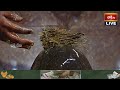 LIVE : మహా శివరాత్రి ప్రత్యేకం.. శ్రీ పార్వతీ రామలింగేశ్వర స్వామి అపూర్వ దర్శనం, మణికొండ | BhakthiTV - Video