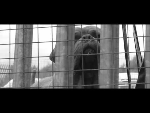 Murkage - No Return Ft. A.Smith (Nights Vocalist)