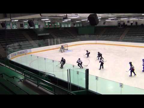 Hans Goal 12 31 2013