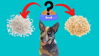 Arroz Branco ou Integral para Cachorro: Quando Não Pode...