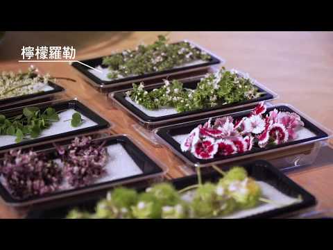 原來這些花可以吃！10種食用花Edible flowers X 料理─型男主廚 潘瑋翔Fly | 台灣好食材 Fooding