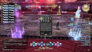 ファイナルファンタジーXIV_アルカディア零式 ヘビー級1層