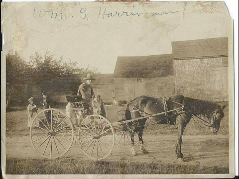 Stuck In Neutral - Louis Bixby