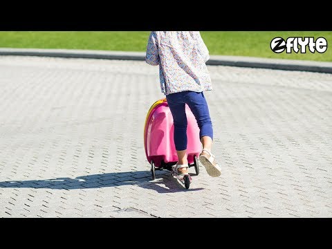 Zooming Around | Zinc Flyte