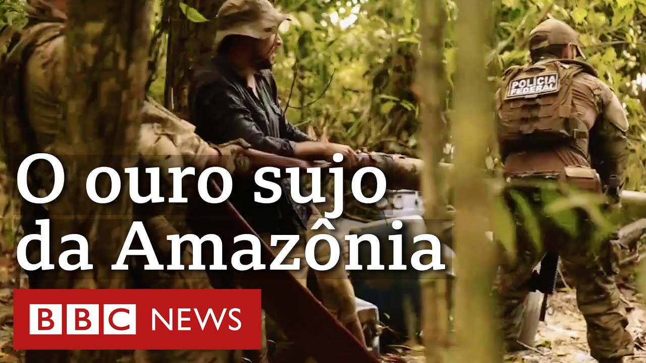 Ouro de Sangue: para onde vai o ouro ilegal garimpado na Amazônia?