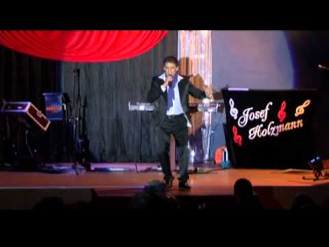 Josef Holzmann - Im Buch der Liebe