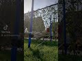 Jumping With Rooster
