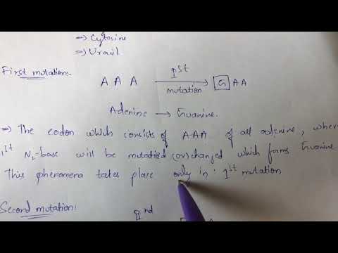 POINT MUTATION BY PHANINDRA GUPTHA