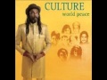 culture - world peace - Never Get Weary