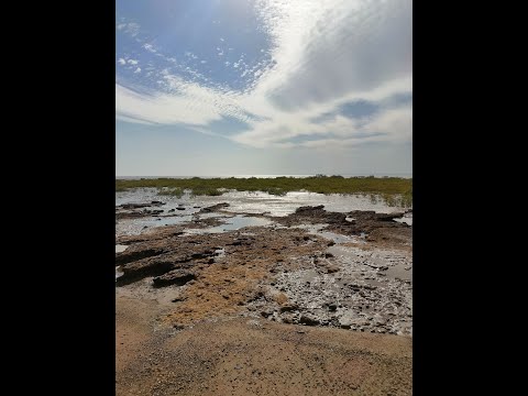Bhavnagar Coastline and Pirambet Island