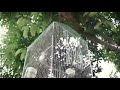 Feby Ilyas Video Prewed Cinematic