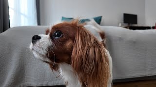 A day of naughty Vanilla with her mom while dad's away