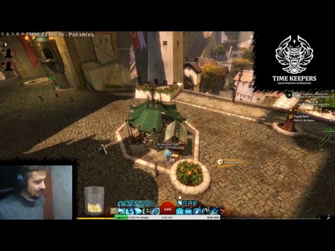 WvW closed raid. Seafarer`s Rest Server! Guild Wars 2.