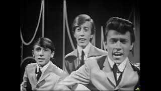 The Bee Gees - Wine &amp; Women (Stereo Mix)