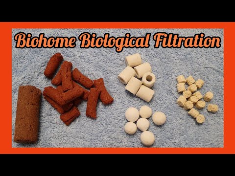 Biohome filter media, should you buy it? Does it work?