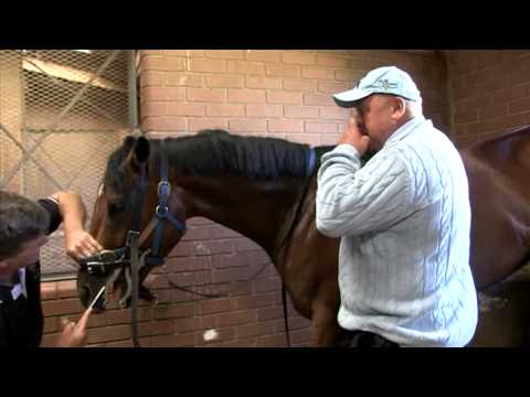 ROAD TO THE TRIPLE CROWN2 MPEG 4