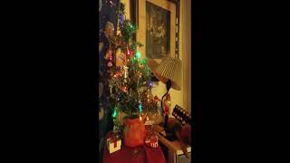 Fifty Kilowatt Tree - The Bobs - Cover