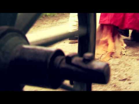 Žebřiňák žebrá