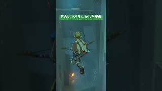 【#ゼルダの伝説ブレスオブザワイルド 】気合いでどうにかした英傑
