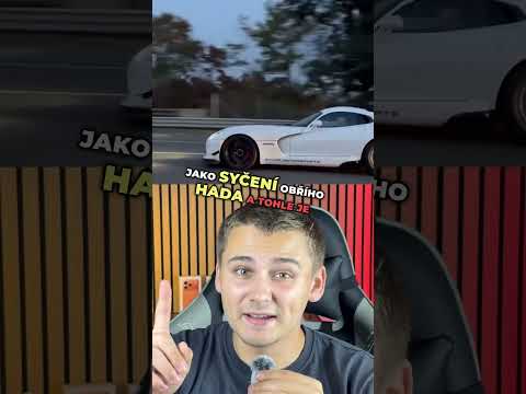 Tak co, které je nejlepší?🐯🤩